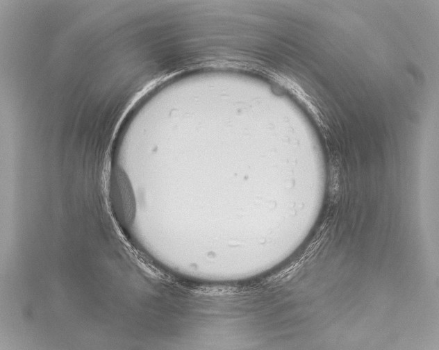 X0000114131040200911191118