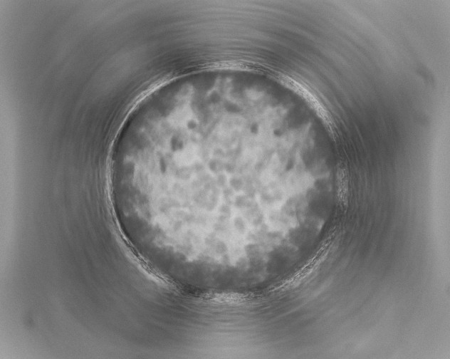 X0000114131043200911191118