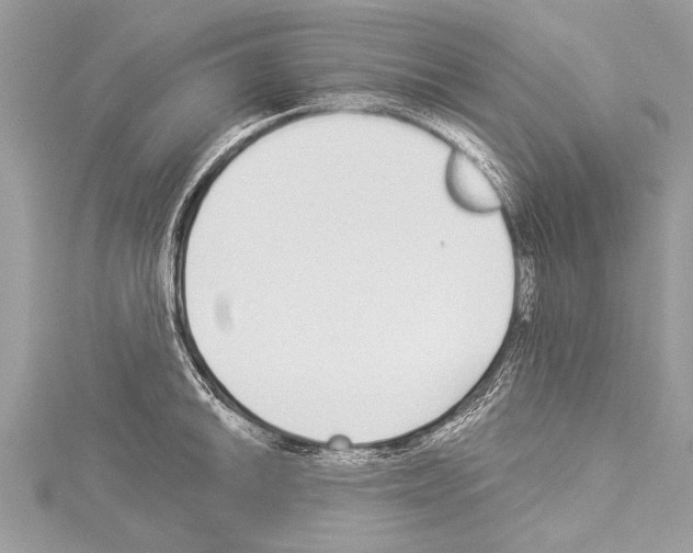 X0000114131046200911191118