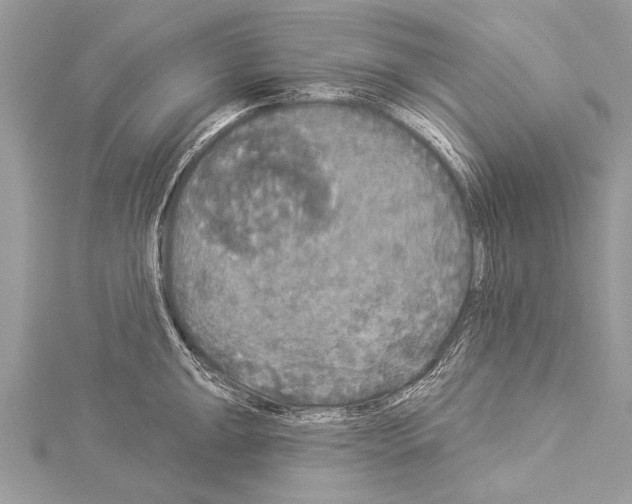 X0000114131047200911191118