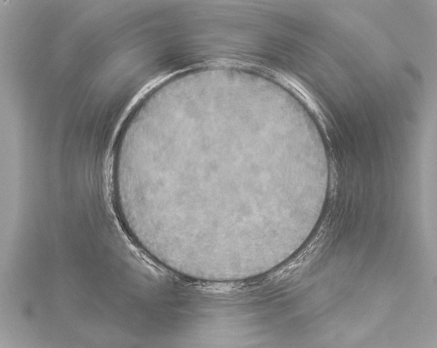 X0000114131048200911191118