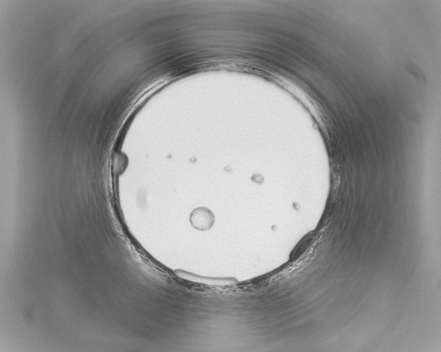 X0000114131050200911191118