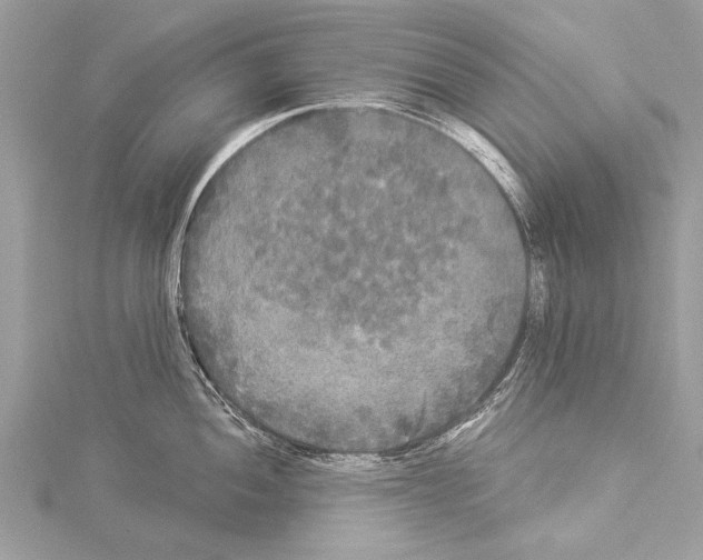 X0000114131052200911191118