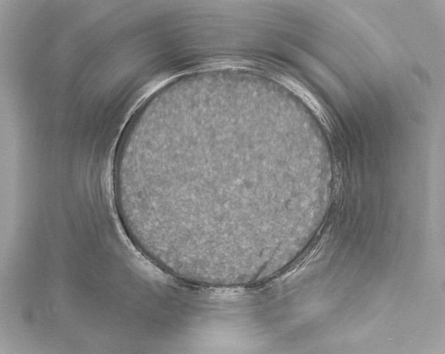 X0000114131055200911191118