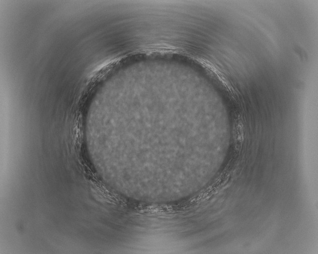 X0000114131063200911191118