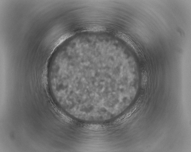 X0000114131071200911191117