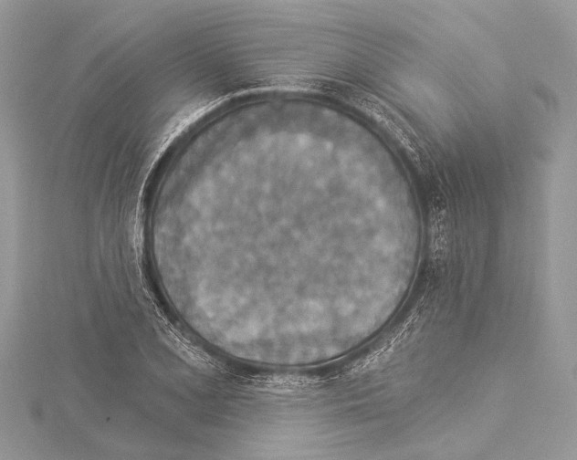 X0000114131077200911191117