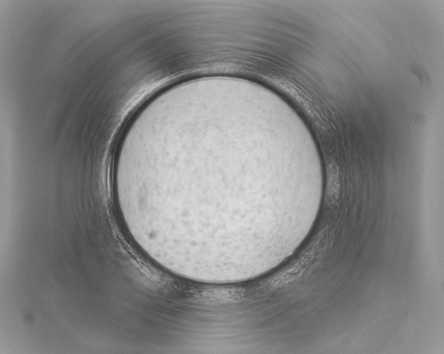 X0000114131078200911191117