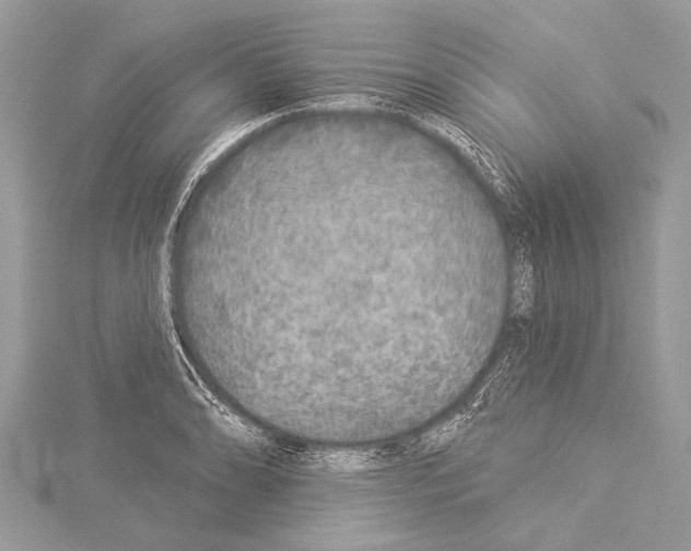 X0000114131086200911191117