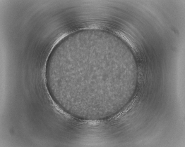 X0000114131087200911191117