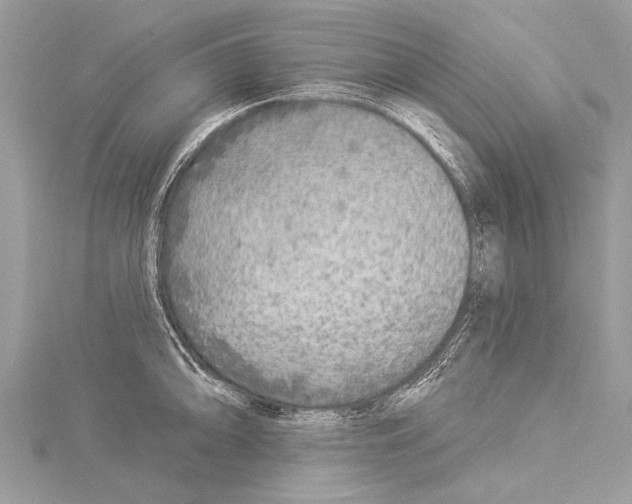 X0000114131094200911191117