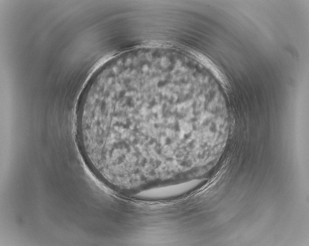 X0000114131095200911191117