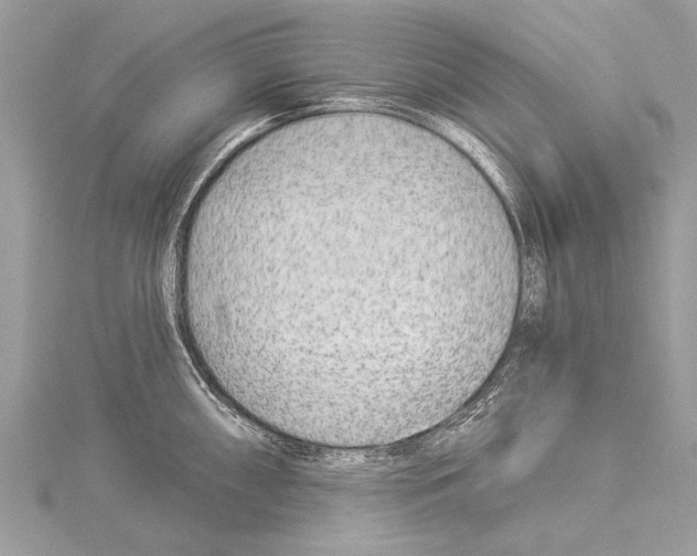 X0000114131098200911191117