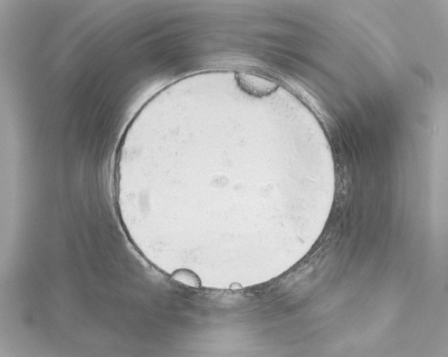 X0000114131103200911191117