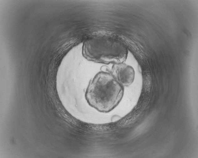 X0000114131105200911191116