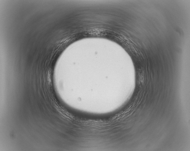 X0000114131106200911191116