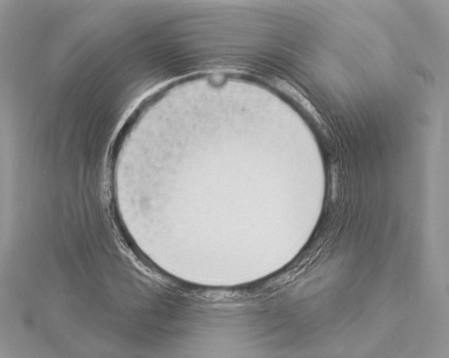 X0000114131116200911191117