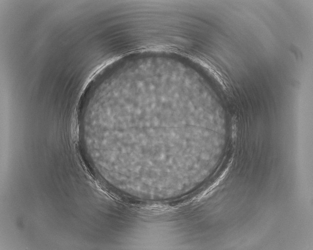 X0000114131117200911191117