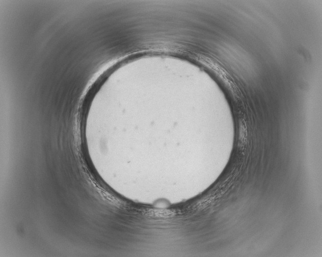 X0000114131120200911191117