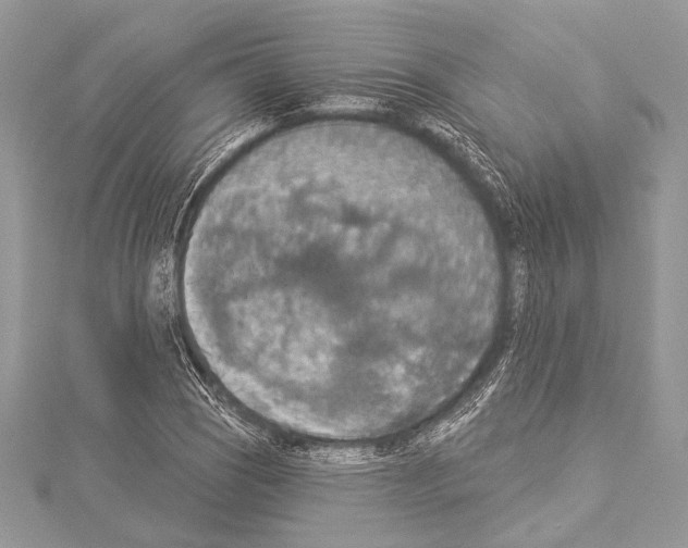 X0000114131121200911191117