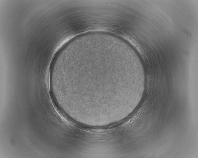 X0000114131127200911191117