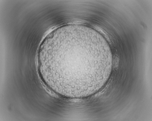 X0000114131130200911191117