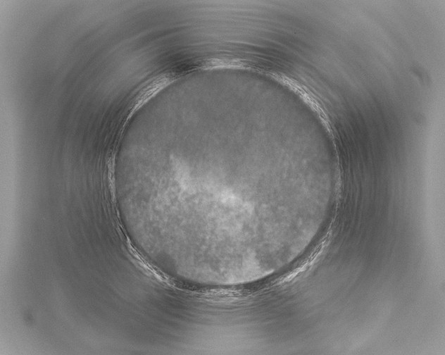 X0000114131137200911191117