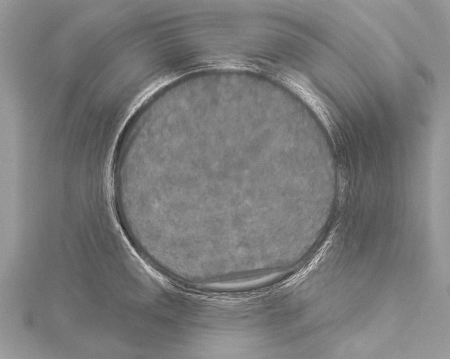 X0000114131141200911191117