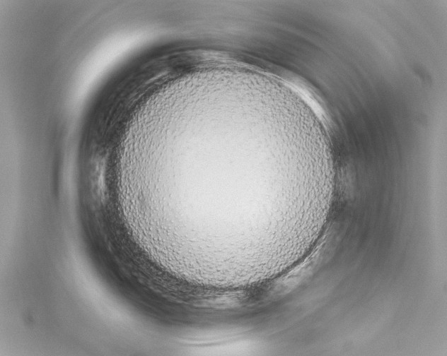 X0000114131150200911191117