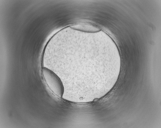 X0000114131152200911191117