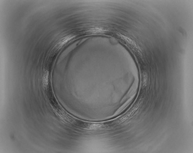 X0000114131161200911191116