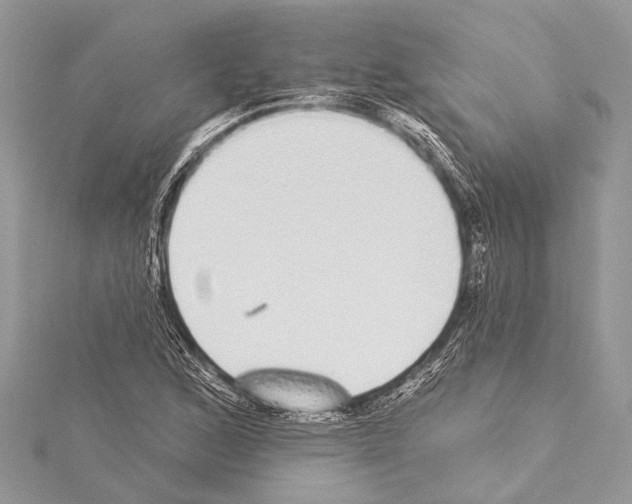 X0000114131168200911191116