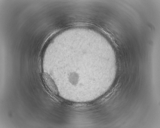 X0000114131171200911191116