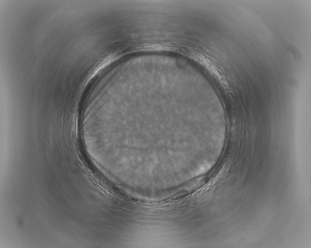 X0000114131173200911191116