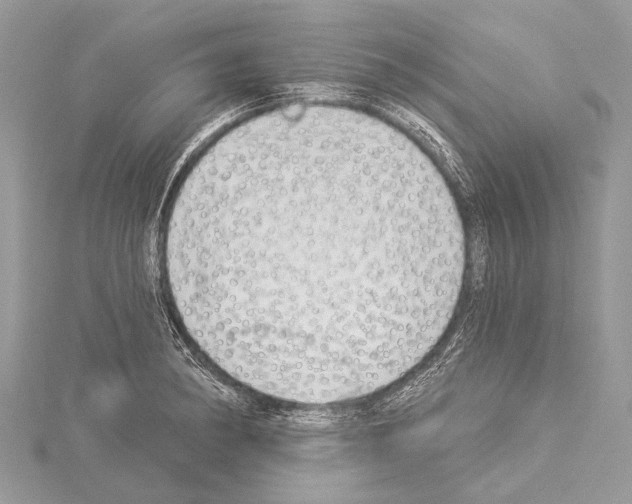 X0000114131182200911191116