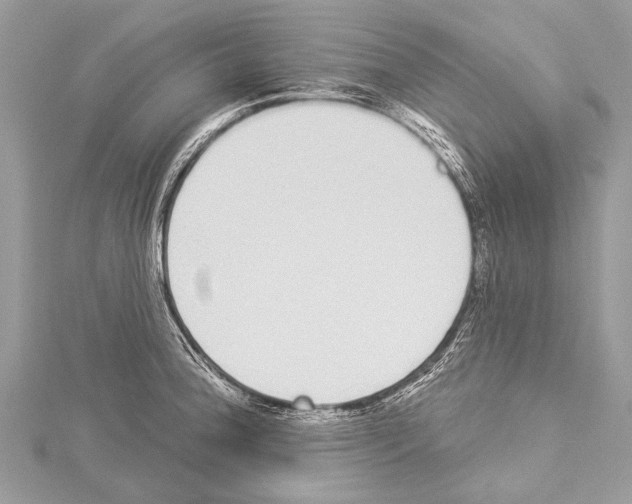 X0000114131188200911191116