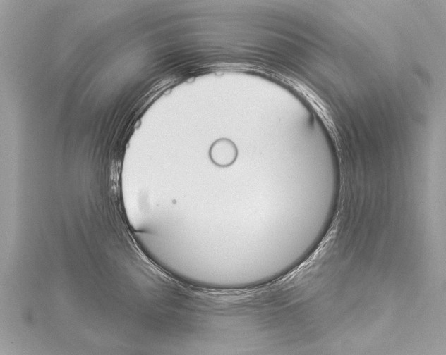 X0000114131193200911191116