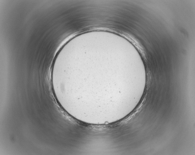 X0000114131198200911191116