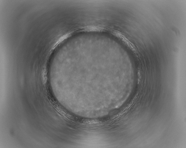 X0000114131213200911191115