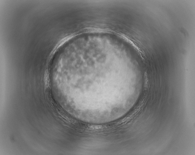 X0000114131215200911191115