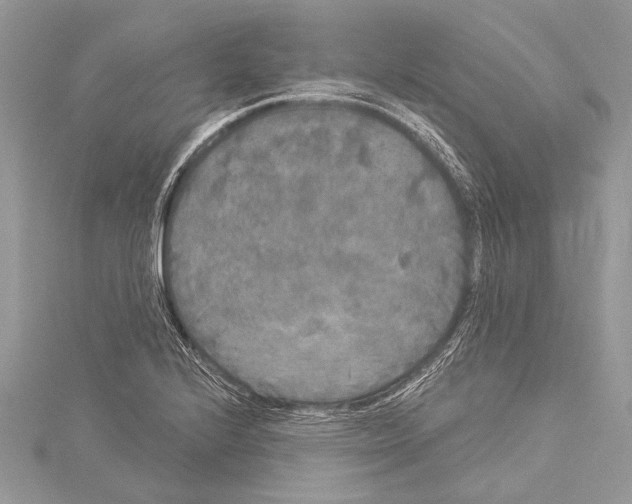 X0000114131224200911191115