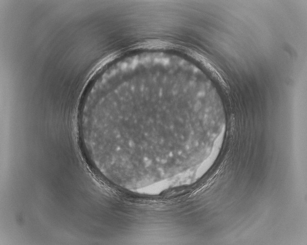 X0000114131229200911191115