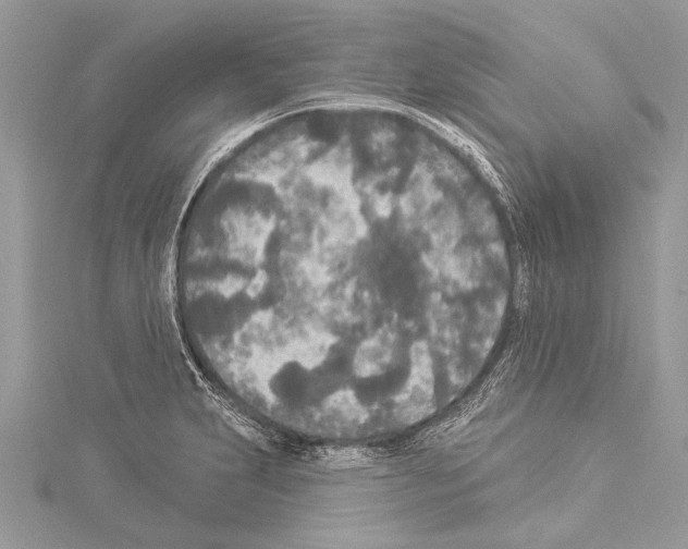 X0000114131231200911191116