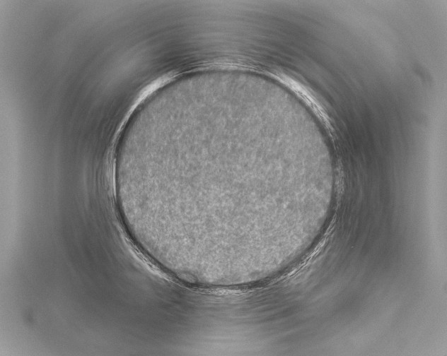 X0000114131238200911191116