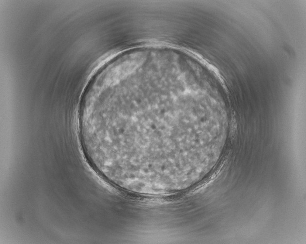 X0000114131239200911191116