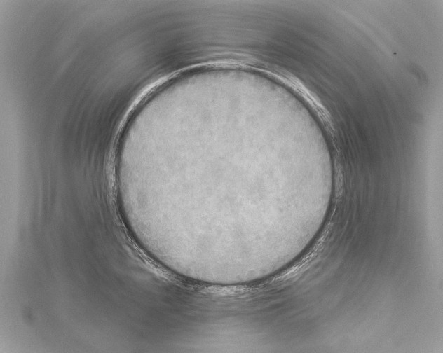 X0000114131240200911191116