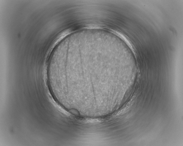 X0000114131243200911191116