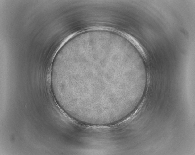 X0000114131244200911191116