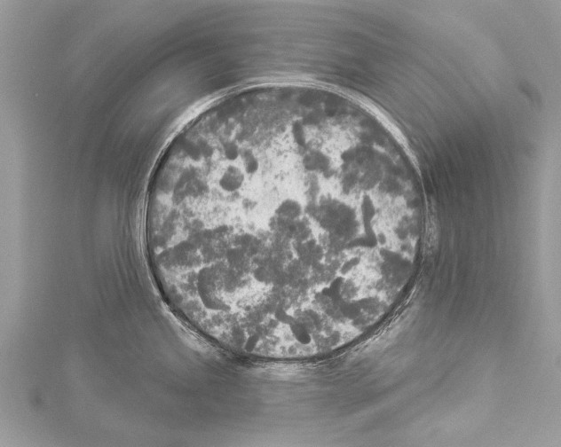 X0000114131245200911191116