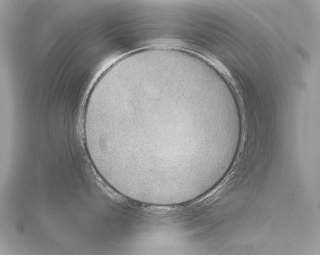 X0000114131248200911191116